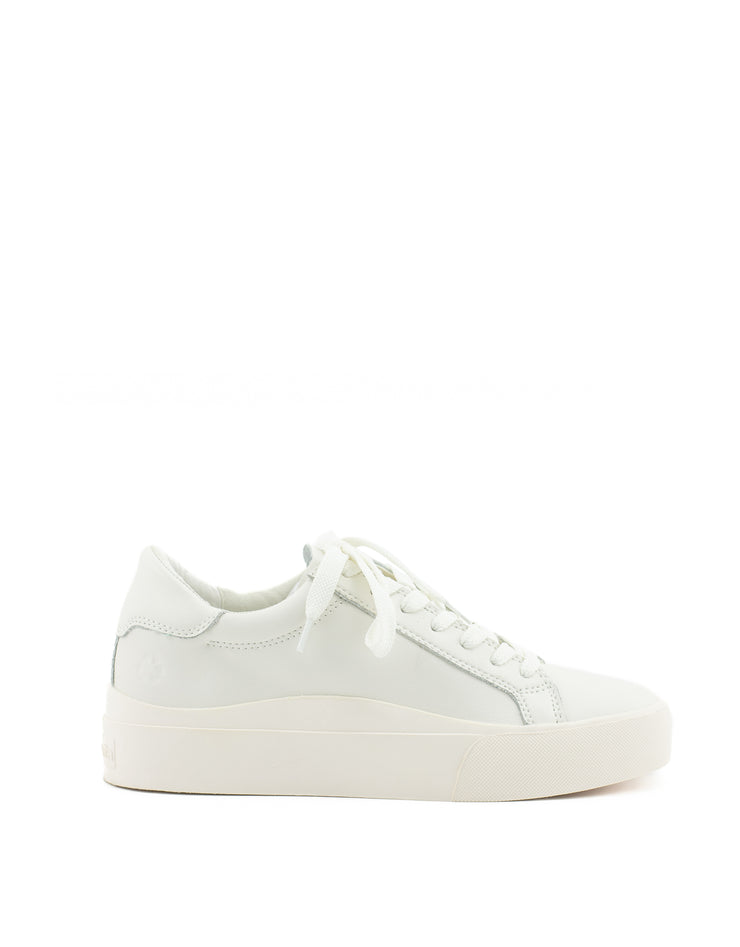 Dolce Vita Zayne Sneaker-White Leather